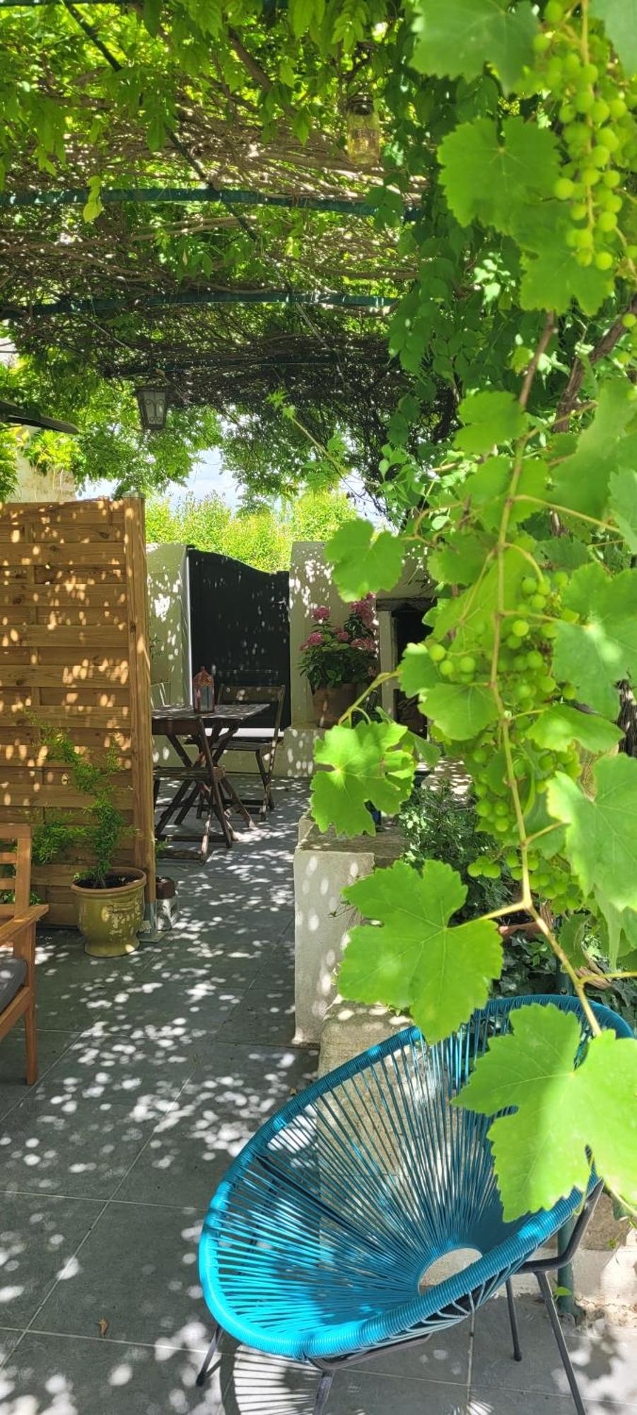 Location Appartement Dans Mas Provencal Monteux Exteriör bild